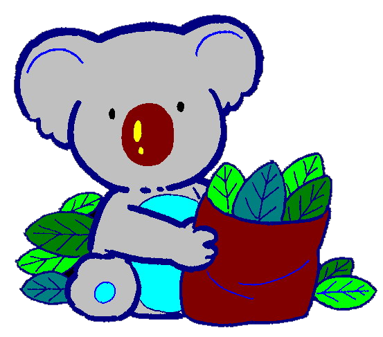 Koala